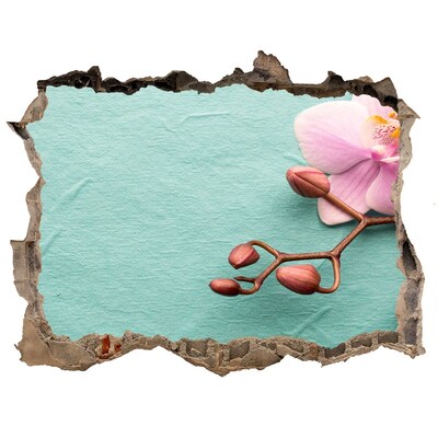 Adesivo buco nel muro Fiore d'orchidea in un muro danneggiato