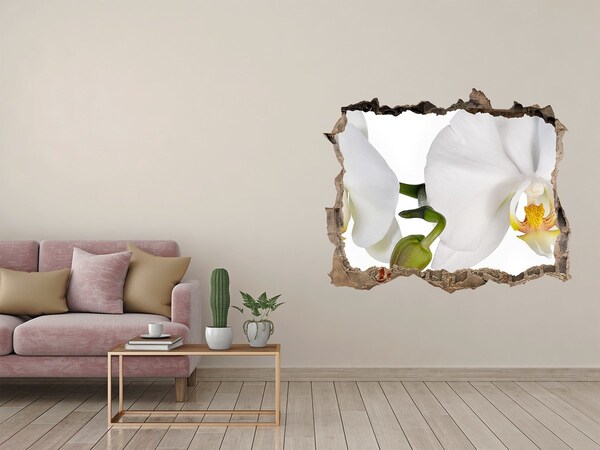 Finto buco nel muro 3D Fiori di orchidea nel cemento