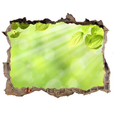 Adesivo buco nel muro Un paradiso verde dietro le mura