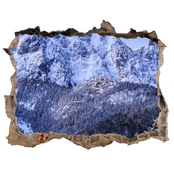 Adesivo buco nel muro Paesaggio montano in inverno