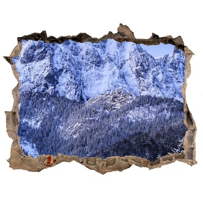 Adesivo buco nel muro Paesaggio montano in inverno