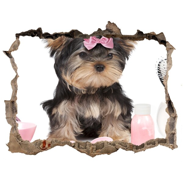 Sticker buco nel muro Un dolce Yorkshire Terrier con un fiocco rosa