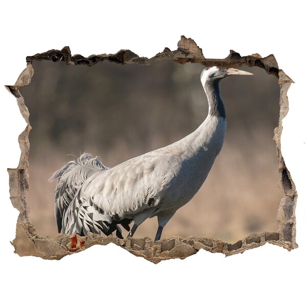 Sticker buco nel muro Gru nel suo habitat naturale