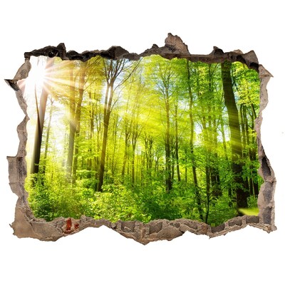 Sticker buco nel muro Foresta verde con raggi di sole