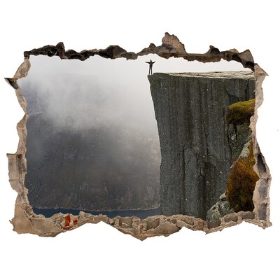 Finto buco nel muro 3D Vista dalla scogliera sopra il fiordo