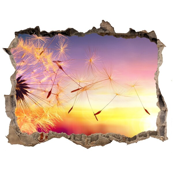 Adesivo buco nel muro Sogni di fiori al tramonto