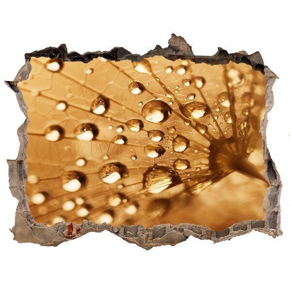 Adesivo buco nel muro Gocce su una foglia