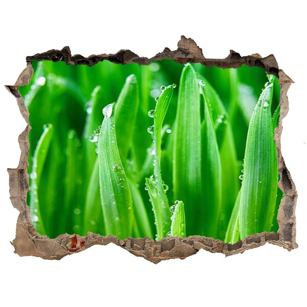 Adesivo buco nel muro Prato verde con gocce d'acqua