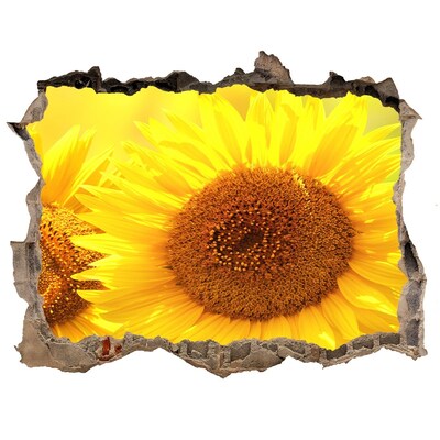 Finto buco nel muro 3D Girasole in cemento