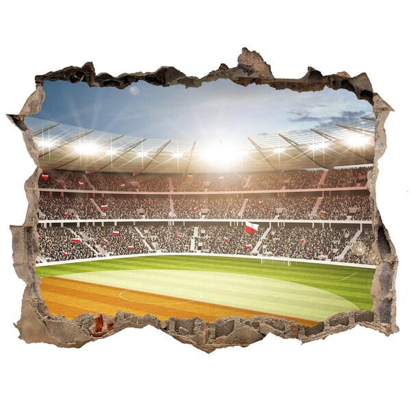 Finto buco nel muro 3D Lo stadio in azione