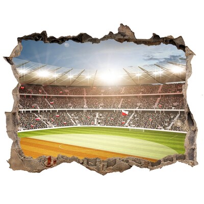 Finto buco nel muro 3D Lo stadio in azione