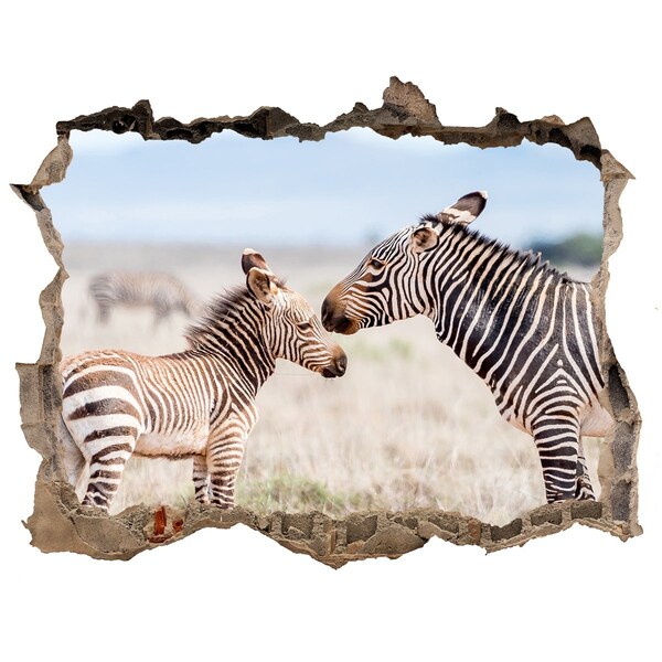 Sticker buco nel muro Zebre nel loro habitat naturale