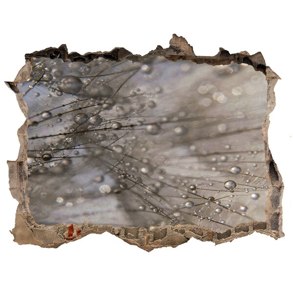 Adesivo buco nel muro Gocce d'acqua sul vetro