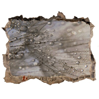 Adesivo buco nel muro Gocce d'acqua sul vetro