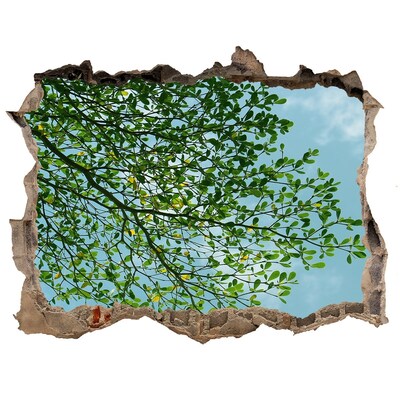 Sticker buco nel muro Foglie verdi sotto un cielo blu