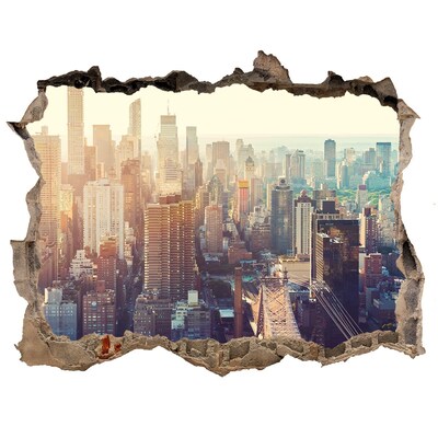 Adesivo buco nel muro Vista dal buco nel muro