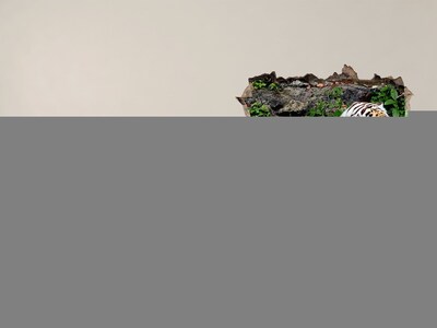 Finto buco nel muro 3D Tigre nel suo habitat naturale