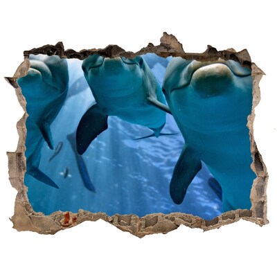 Finto buco nel muro 3D Mondo sottomarino con i delfini