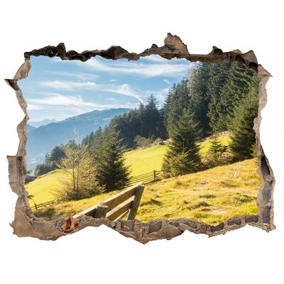 Finto buco nel muro 3D Vista della valle di montagna