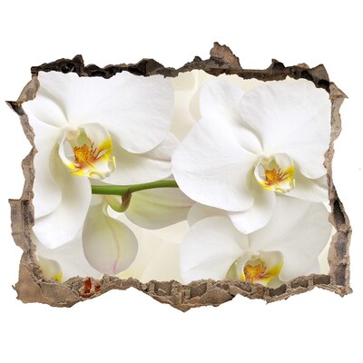 Sticker buco nel muro Orchidee nel cemento