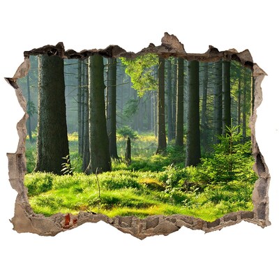 Finto buco nel muro 3D Foresta verdeggiante ai raggi del sole