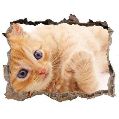 Adesivo buco nel muro Gatto in un buco nel muro