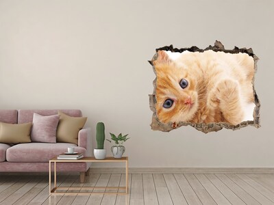 Adesivo buco nel muro Gatto in un buco nel muro