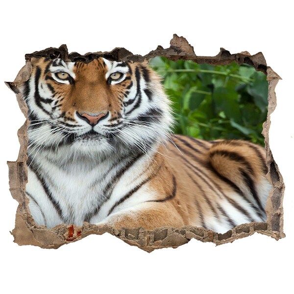 Sticker buco nel muro Tigre nel suo habitat naturale
