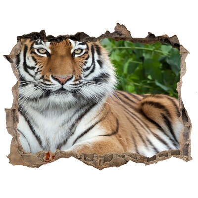 Sticker buco nel muro Tigre nel suo habitat naturale
