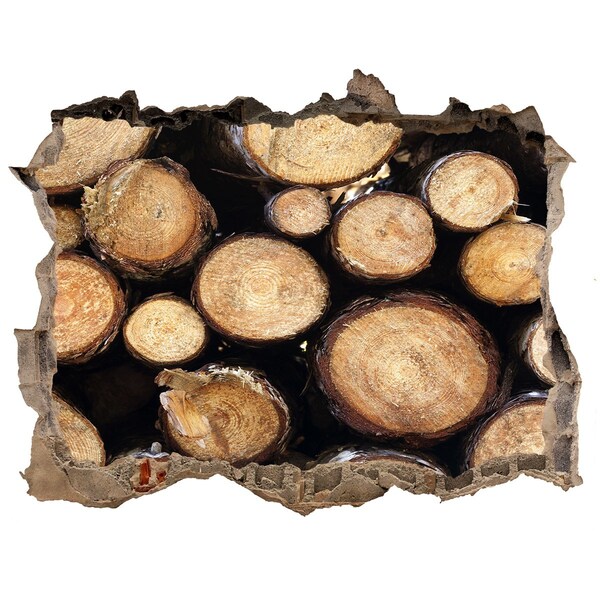 Sticker buco nel muro Legno in un buco nel muro