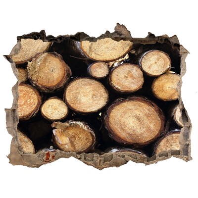 Sticker buco nel muro Legno in un buco nel muro