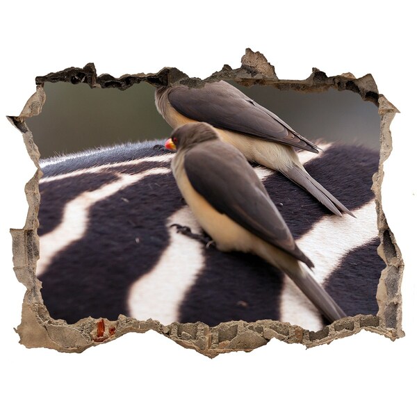 Adesivo buco nel muro Uccelli sul dorso di una zebra