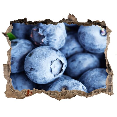 Finto buco nel muro 3D Bacche in una buca di cemento