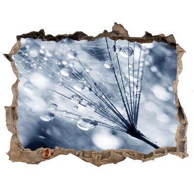 Sticker buco nel muro Gocce di rugiada su un dente di leone