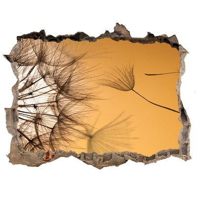 Adesivo buco nel muro Un buco nel muro con delicati motivi vegetali