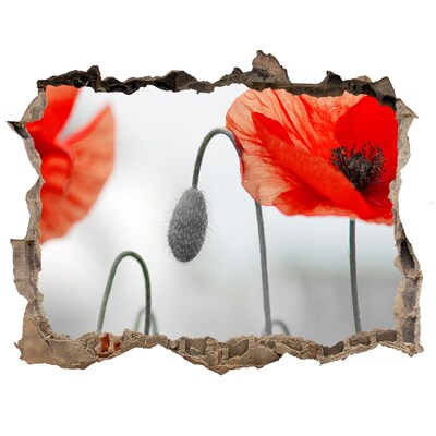 Sticker buco nel muro Fiori in un buco nel muro