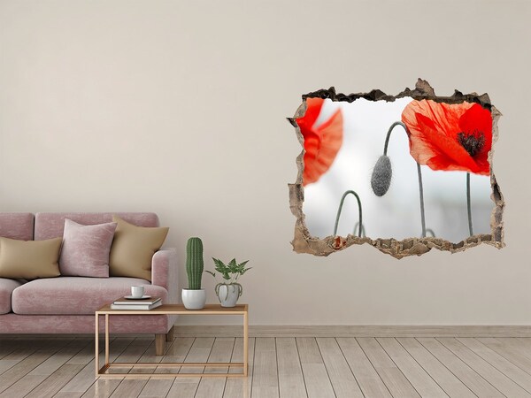 Sticker buco nel muro Fiori in un buco nel muro