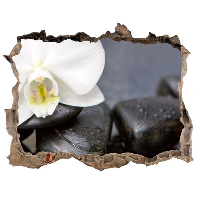 Adesivo buco nel muro Fiori e pietre nella spa