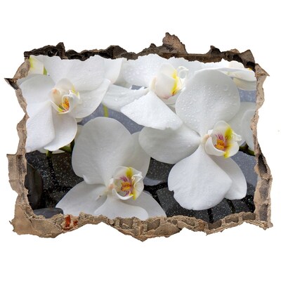 Adesivo buco nel muro Fiori di orchidea in acqua