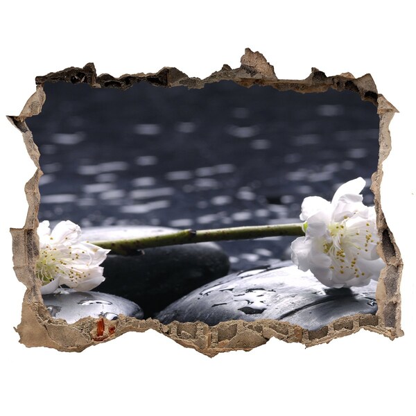 Sticker buco nel muro Fiori sulle pietre