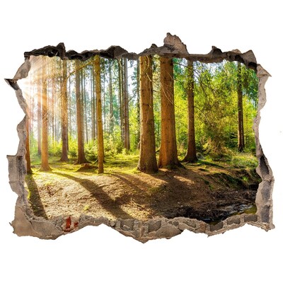 Finto buco nel muro 3D Un'oasi di pace nella foresta