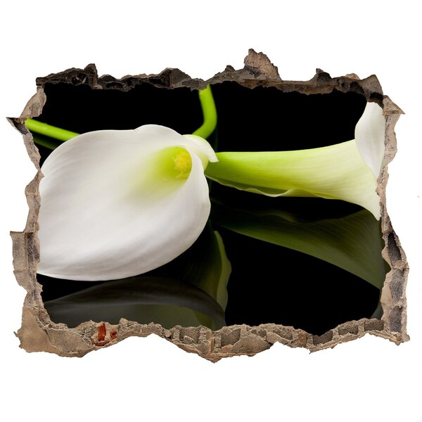 Finto buco nel muro 3D Fiore nel cemento