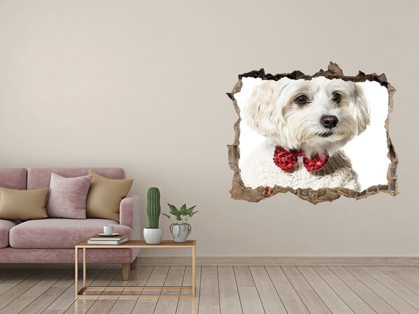 Finto buco nel muro 3D Un cane con un maglione che spunta da un buco nel muro