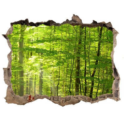 Adesivo buco nel muro Foresta verdeggiante illuminata dal sole
