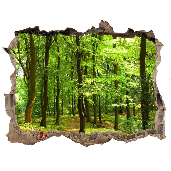 Sticker buco nel muro Foresta verdeggiante ai raggi del sole