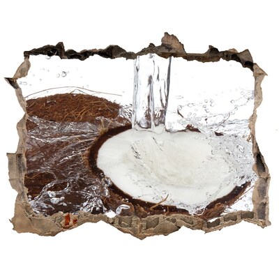 Adesivo buco nel muro Cocco in un flusso d'acqua