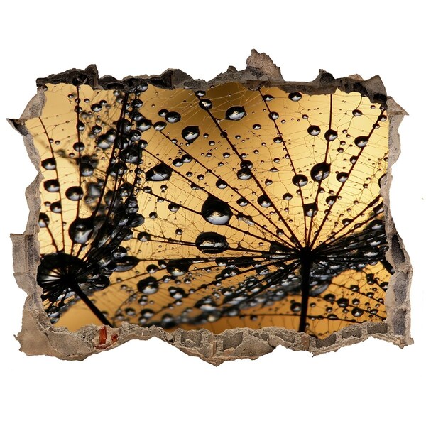 Adesivo buco nel muro Gocce sulle foglie