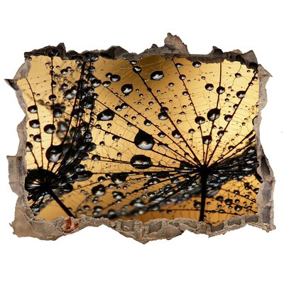 Adesivo buco nel muro Gocce sulle foglie