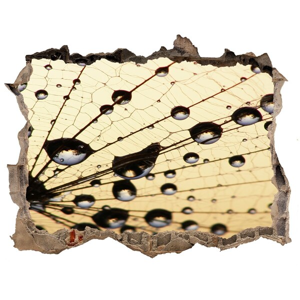 Sticker buco nel muro Gocce d'acqua sull'ala di una farfalla