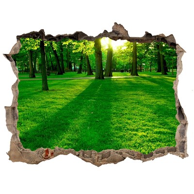 Sticker buco nel muro Parco verde sotto il sole